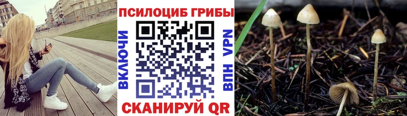 ссылка на мегу ТОР  Сухиничи  Галлюциногенные грибы Magic Shrooms  купить закладку 